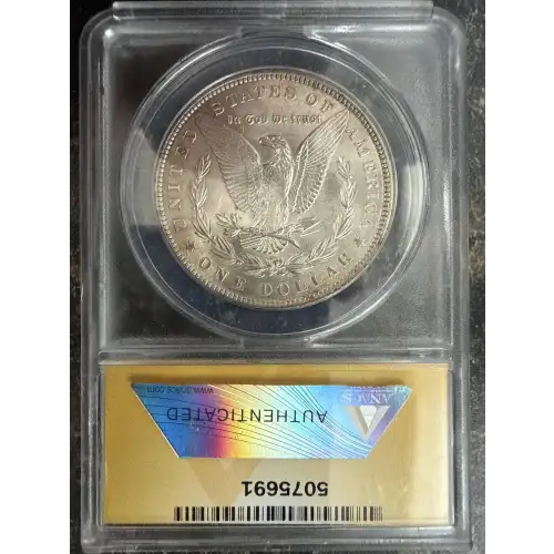 Morgan Silver Dollar (2)