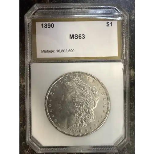 Morgan Silver Dollar