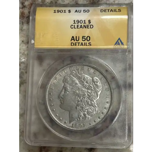 Morgan Silver Dollar