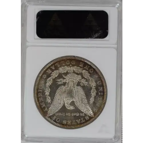 Morgan Silver Dollar