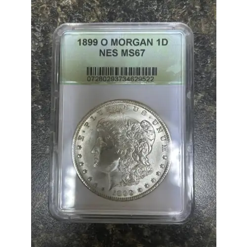 Morgan Silver Dollar