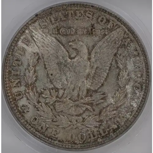 Morgan Silver Dollar