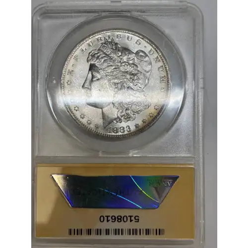 Morgan Silver Dollar (2)
