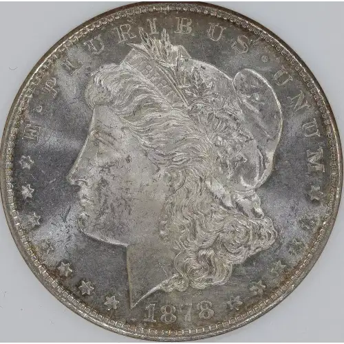 Morgan Silver Dollar (2)
