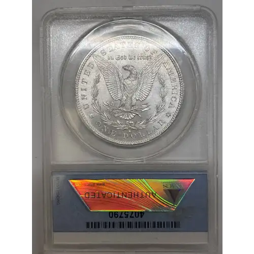 Morgan Silver Dollar (2)