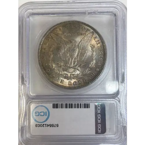 Morgan Silver Dollar (2)
