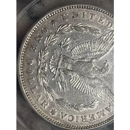 Morgan Silver Dollar