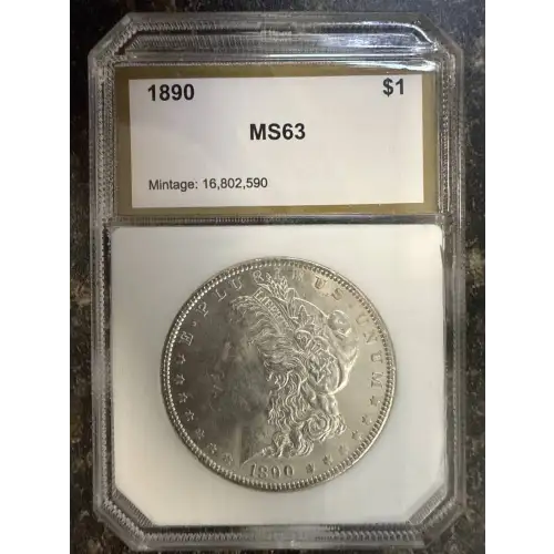 Morgan Silver Dollar