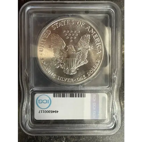 Morgan Silver Dollar (2)