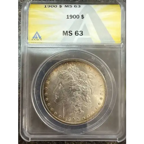 Morgan Silver Dollar