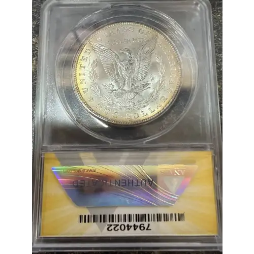 Morgan Silver Dollar (2)