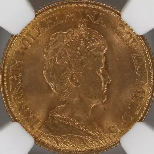 NETHERLANDS Gold 10 GULDEN