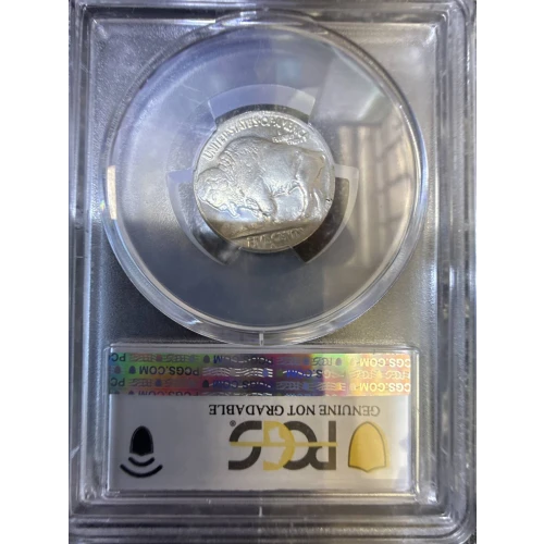 Nickel Five Cent Pieces-Indian Head or Buffalo (2)
