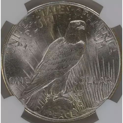 Peace Silver Dollar