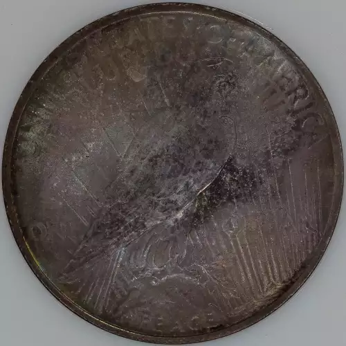 Peace Silver Dollar (3)