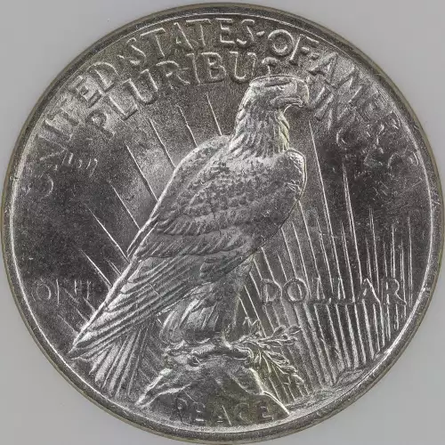 Peace Silver Dollar