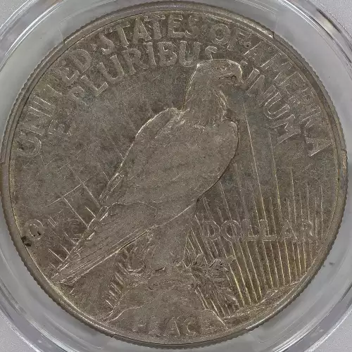 Peace Silver Dollar