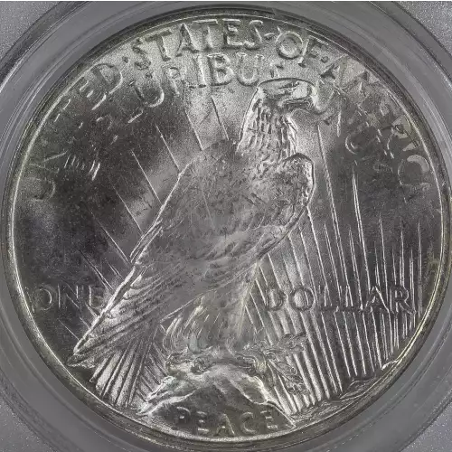 Peace Silver Dollar