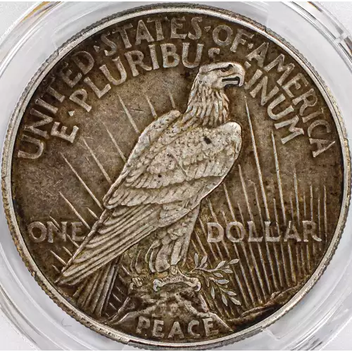 Peace Silver Dollar