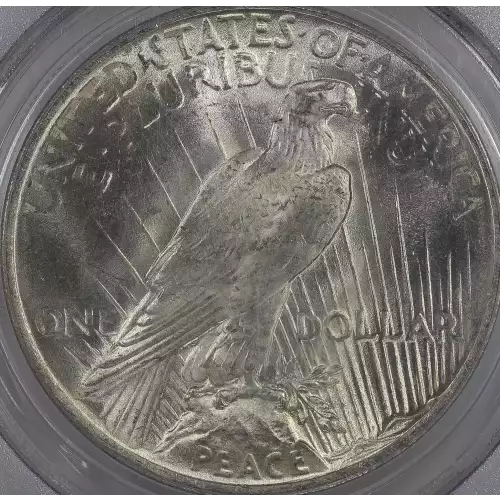 Peace Silver Dollar