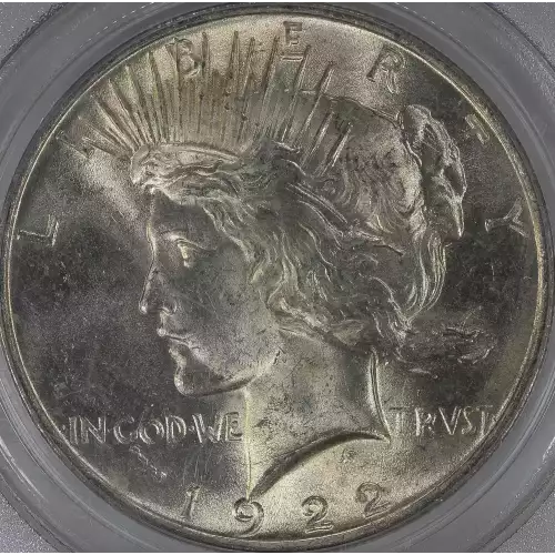 Peace Silver Dollar