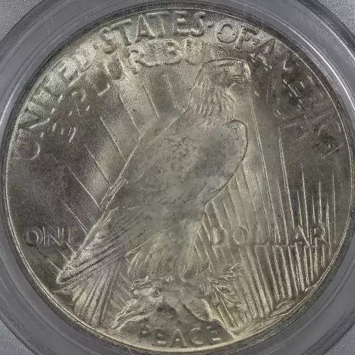 Peace Silver Dollar