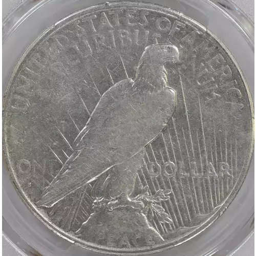 Peace Silver Dollar