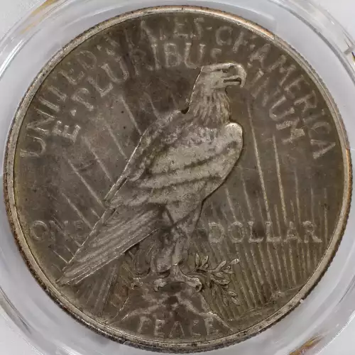 Peace Silver Dollar (4)