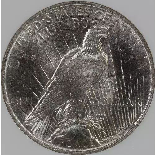 Peace Silver Dollar