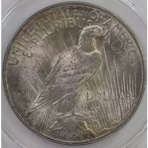 Peace Silver Dollar (4)