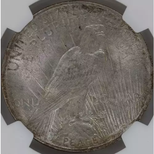 Peace Silver Dollar