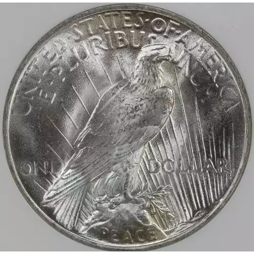 Peace Silver Dollar