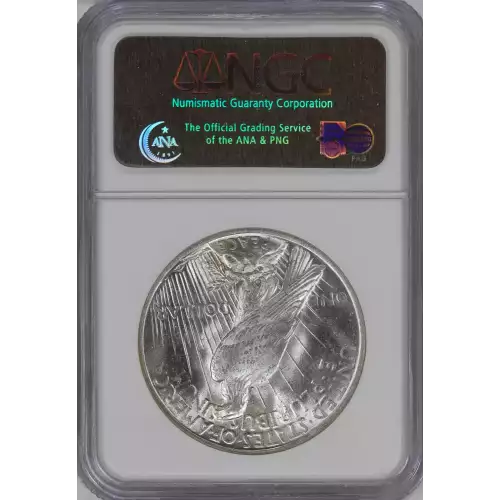 Peace Silver Dollar