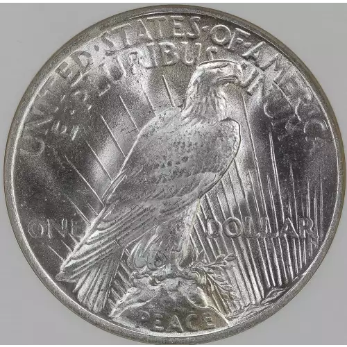 Peace Silver Dollar