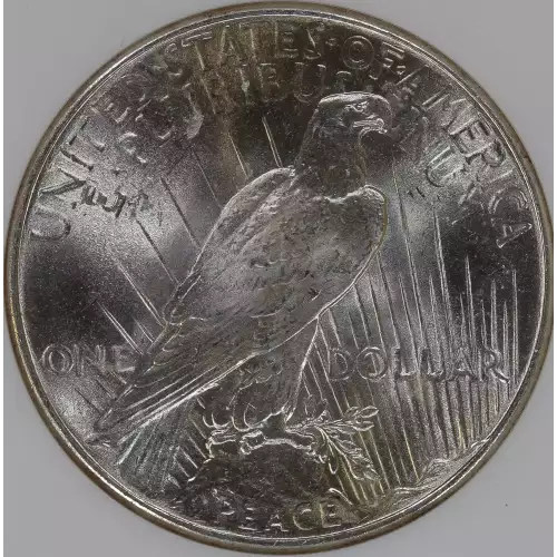 Peace Silver Dollar