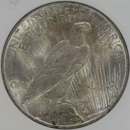 Peace Silver Dollar