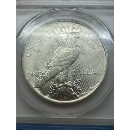 Peace Silver Dollar (2)