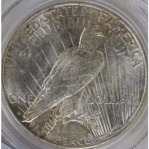 Peace Silver Dollar (4)