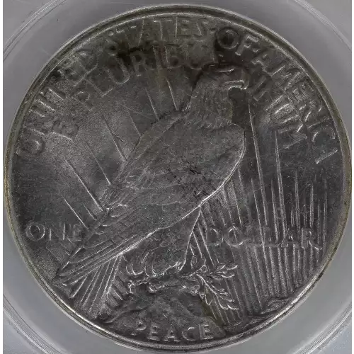 Peace Silver Dollar (4)