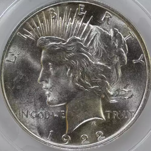 Peace Silver Dollar (4)