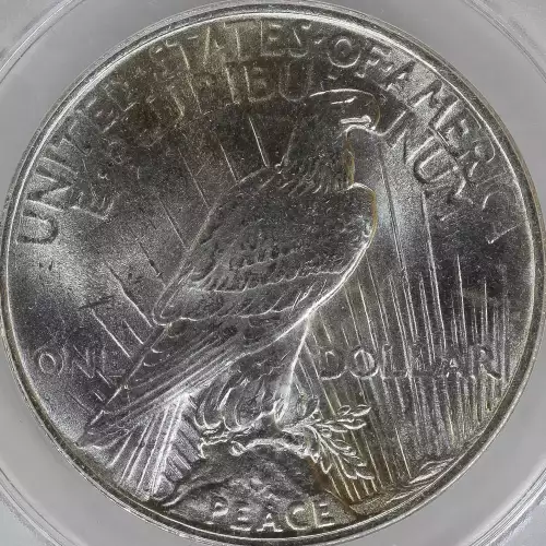 Peace Silver Dollar (3)