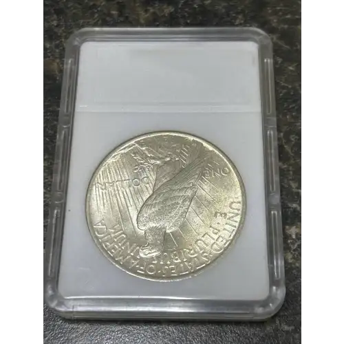 Peace Silver Dollar (2)