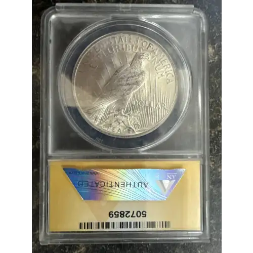 Peace Silver Dollar (2)
