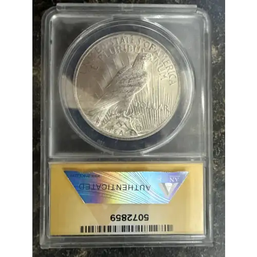 Peace Silver Dollar (2)