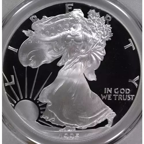 Rare 1995 W Silver Eagle DCAM 
Mintage of only 30,125 