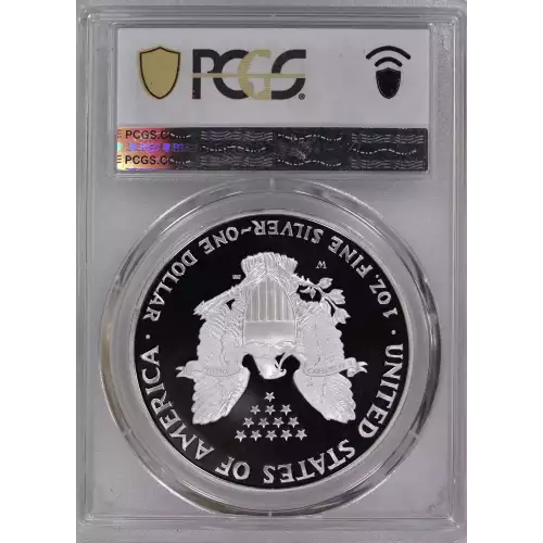 Rare 1995 W Silver Eagle DCAM 
Mintage of only 30,125 