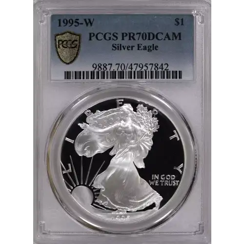 Rare 1995 W Silver Eagle DCAM 
Mintage of only 30,125