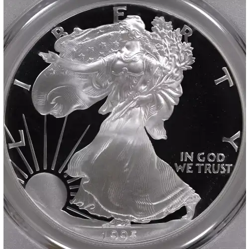 Rare 1995 W Silver Eagle DCAM 
Mintage of only 30,125