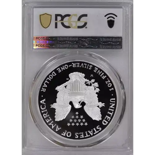 Rare 1995 W Silver Eagle DCAM 
Mintage of only 30,125