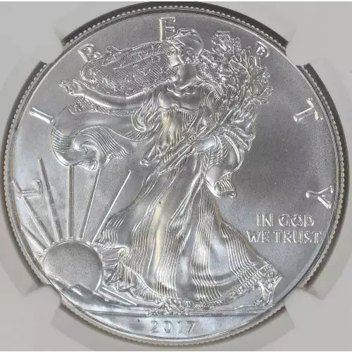 Silver Eagles (2)